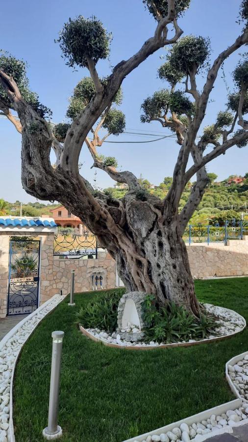 Villa Ludo A Zambrone Tropea Exterior foto